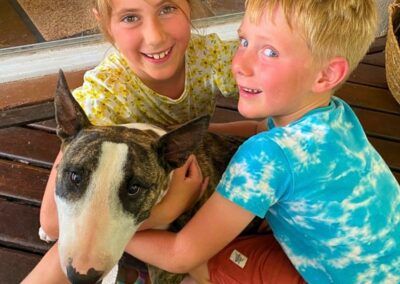 Panomar Bull terriers Temperament