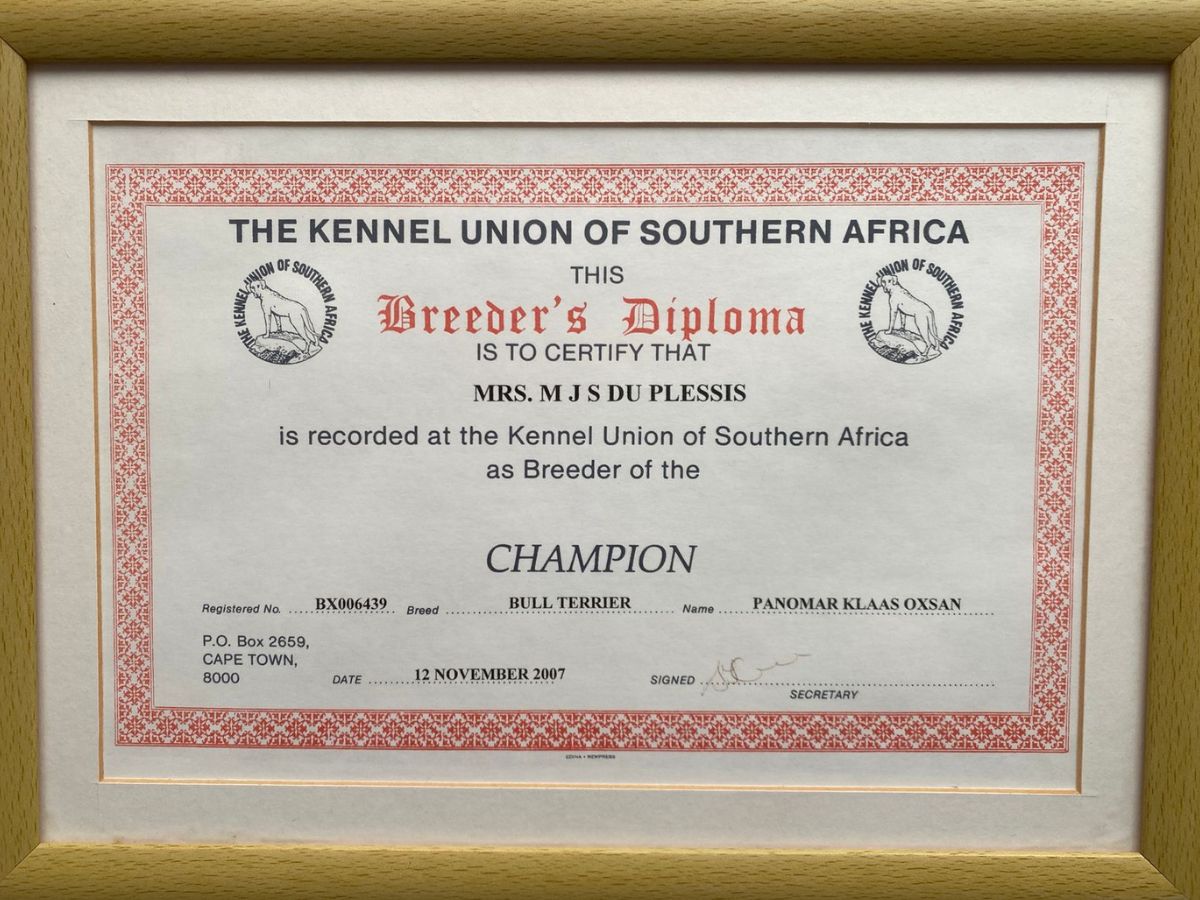 Champion Bull Terrier Milady